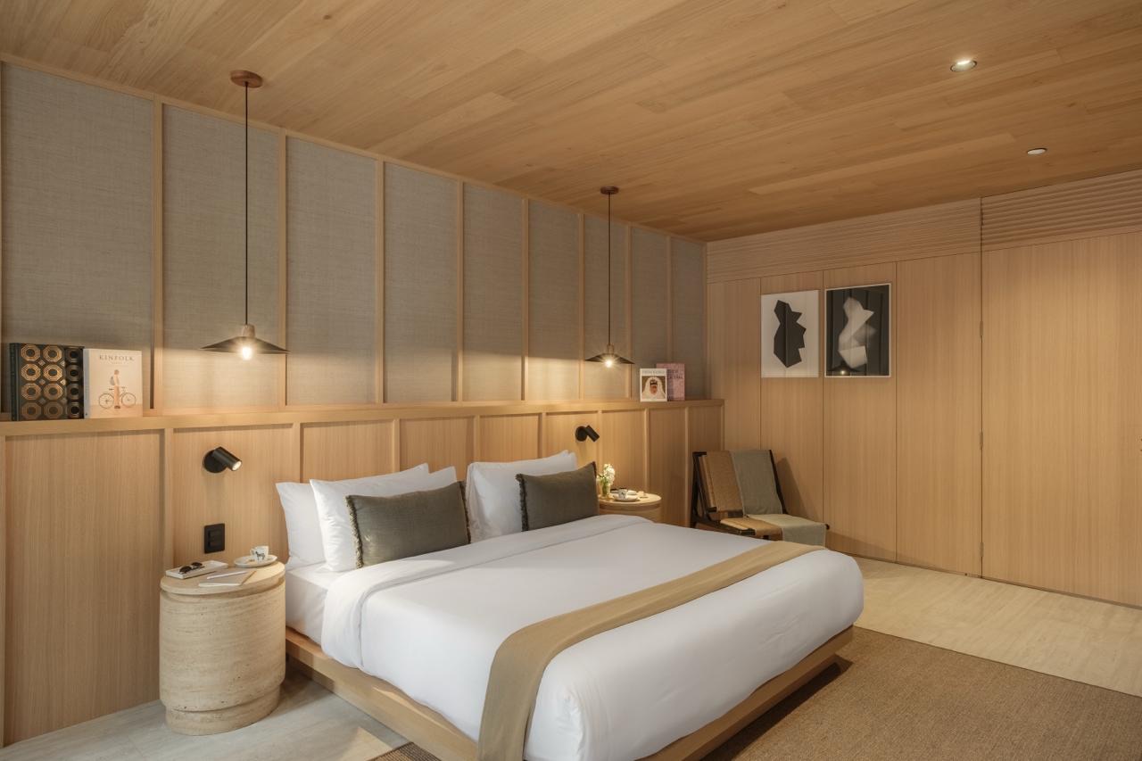 SAAVI suite 1