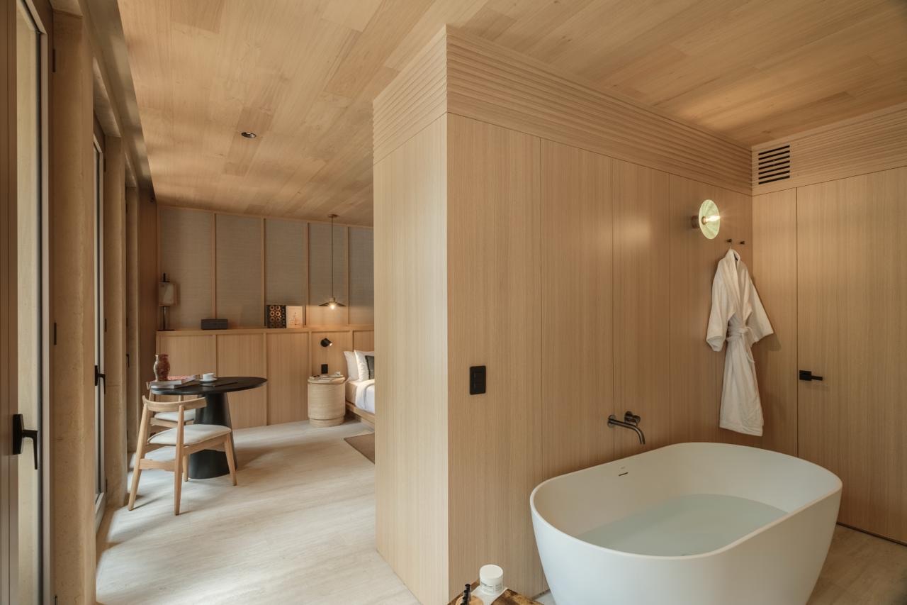 SAAVI suite 2